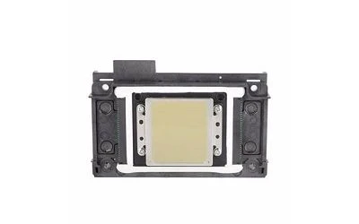 Epson I3200 And Epson Xp600